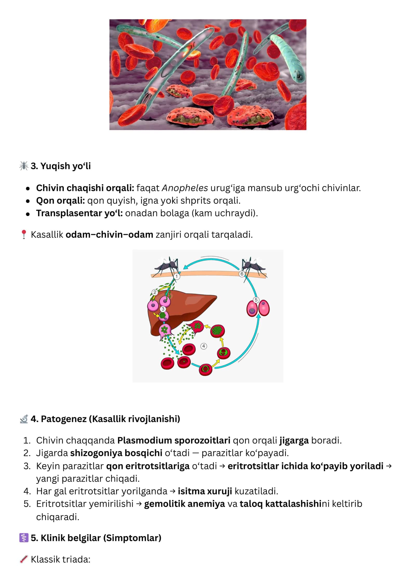 MALARIYA (BEZGAK) 2