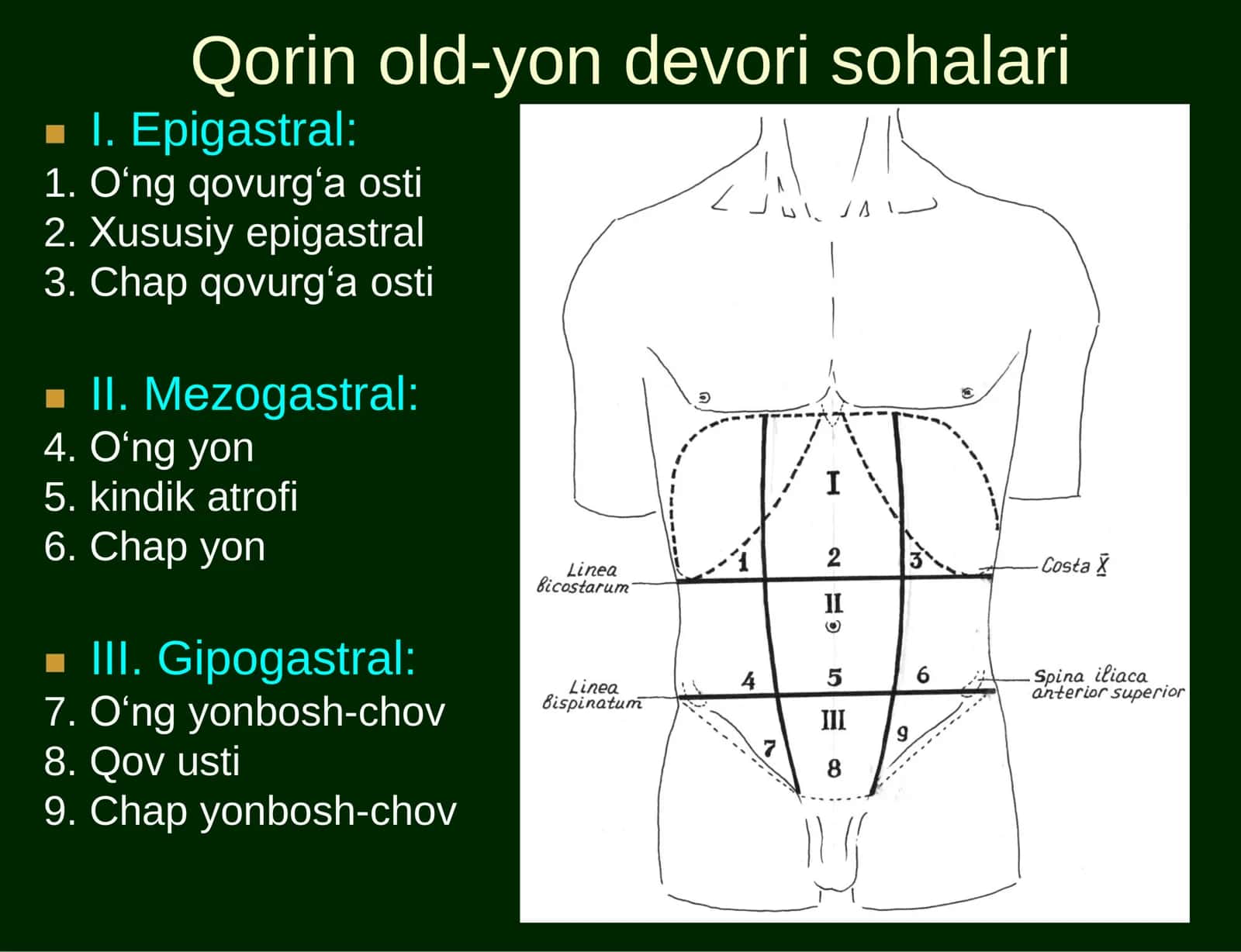 QORIN DЕVORLARI VA QORIN PARDA 2