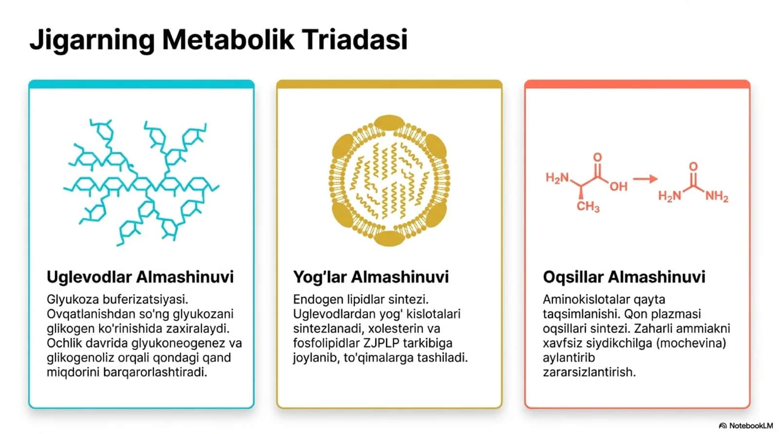 Jigar biokimyosislayd 2