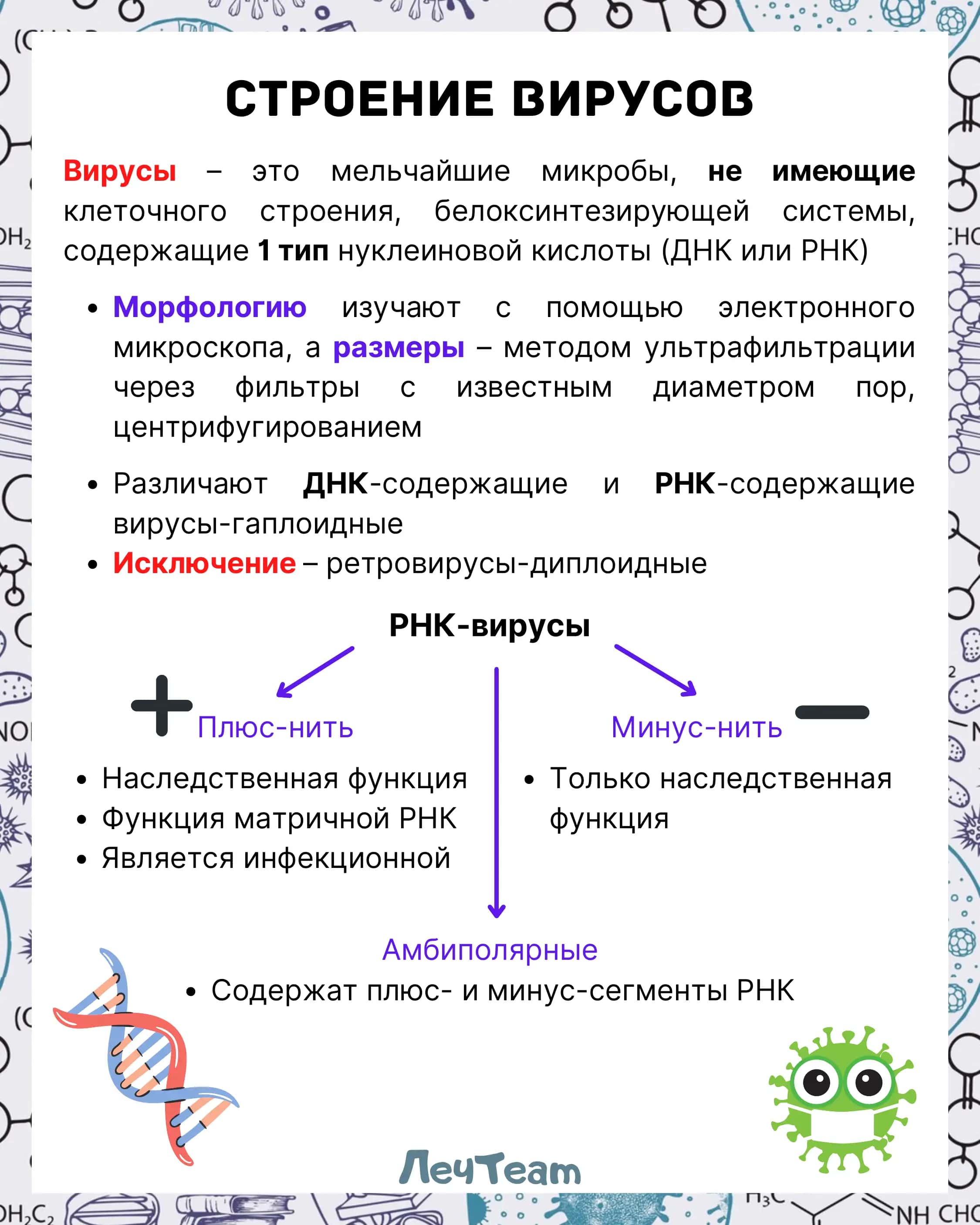 Строение вирусов 2