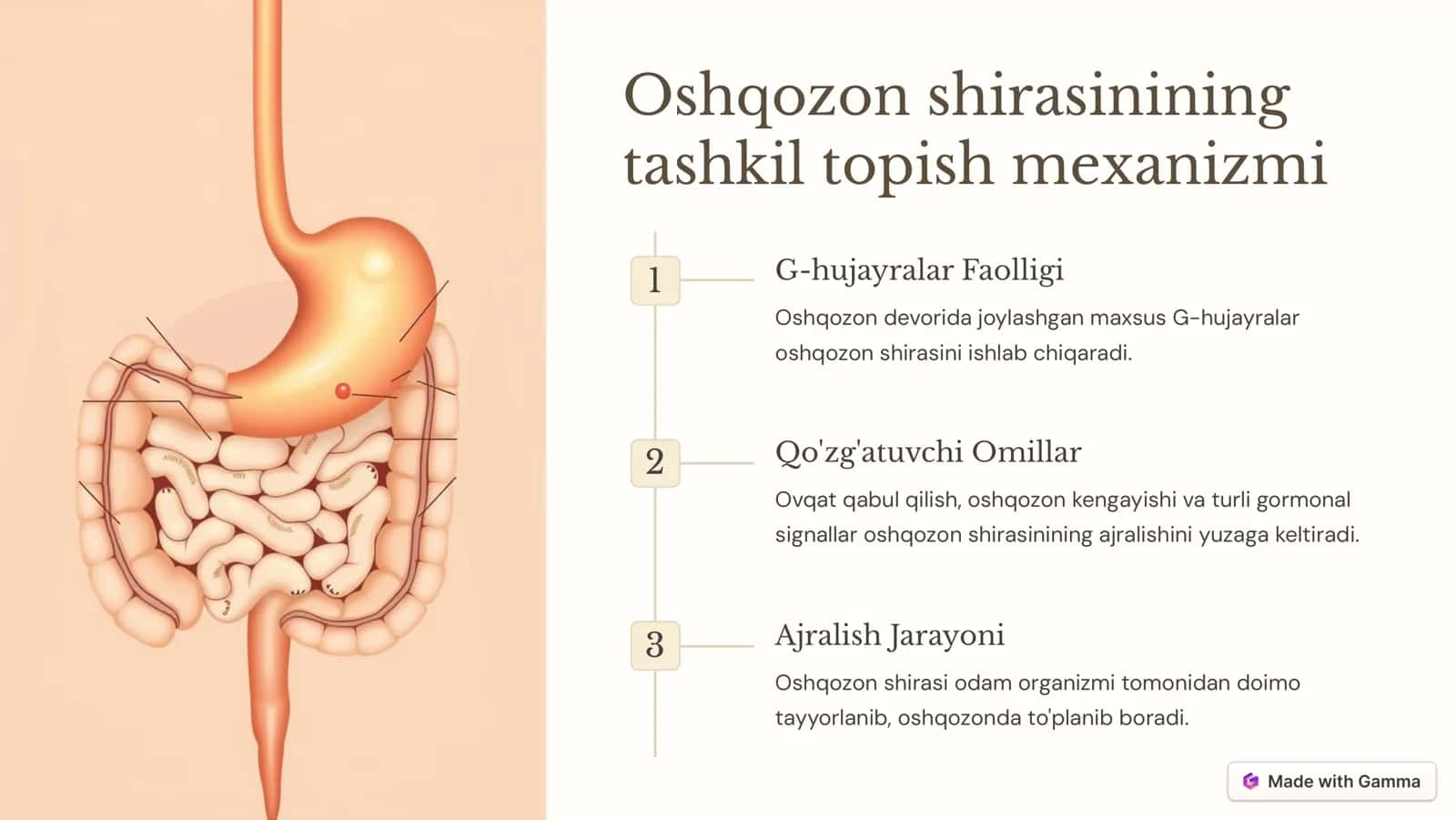 Oshqozon shirasini 2