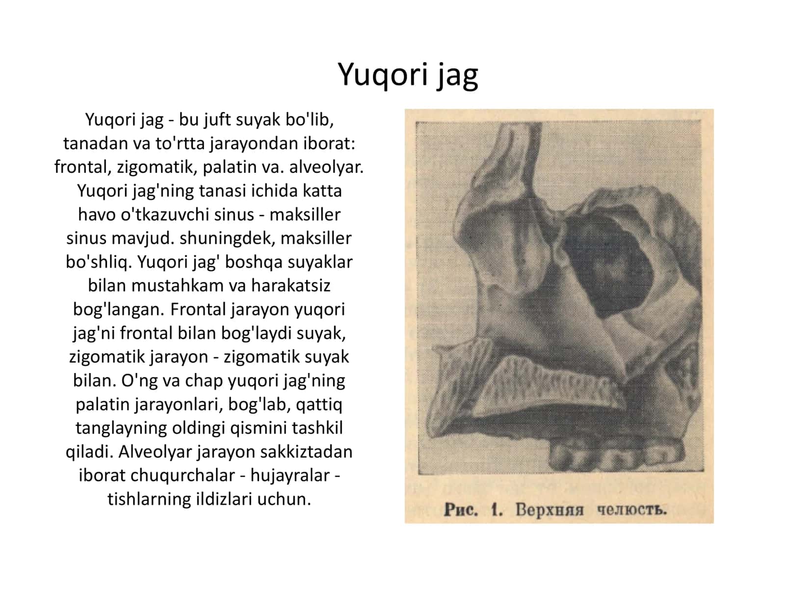 Yuqori jag 2