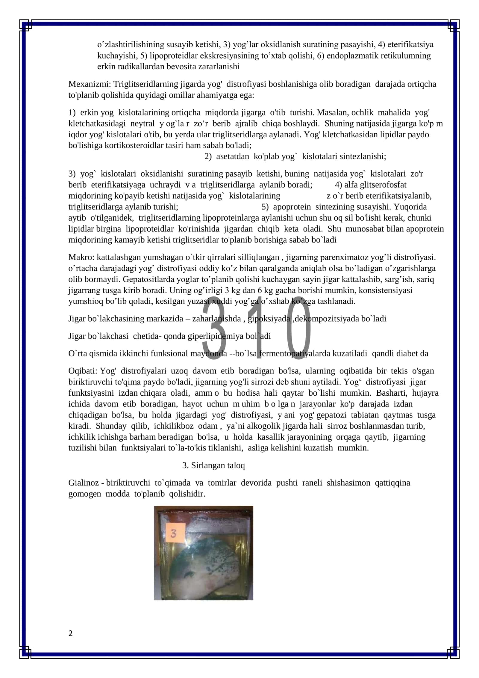 Patanatomiya makropreparatlar 2