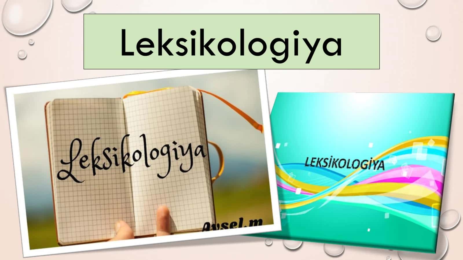 Leksikologiya 2