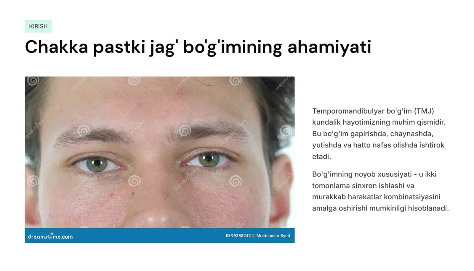 Chakka pastki jag‘ bo‘g‘imi anatomiyasi. 2
