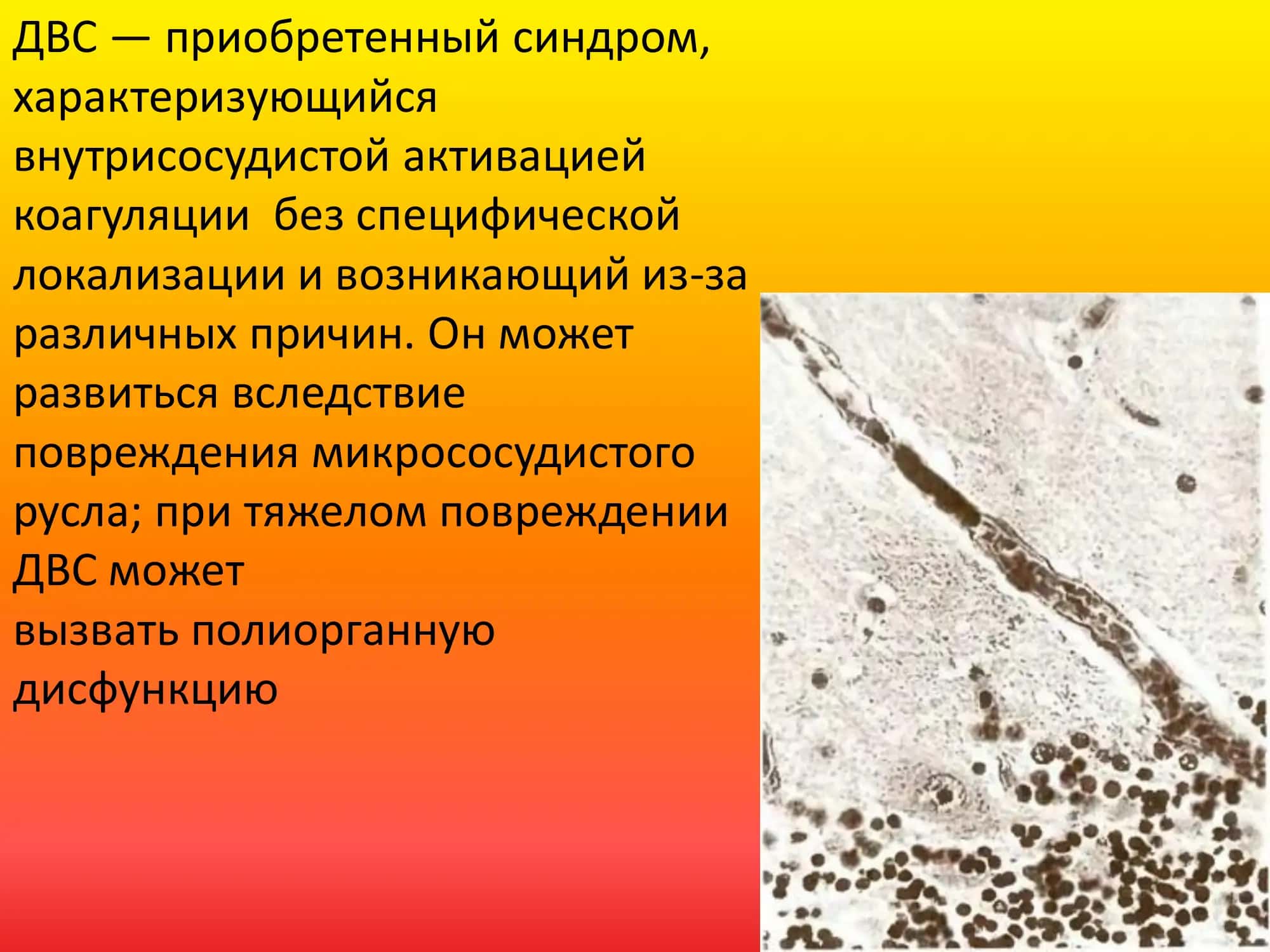 - Tags (comma-separated): 2