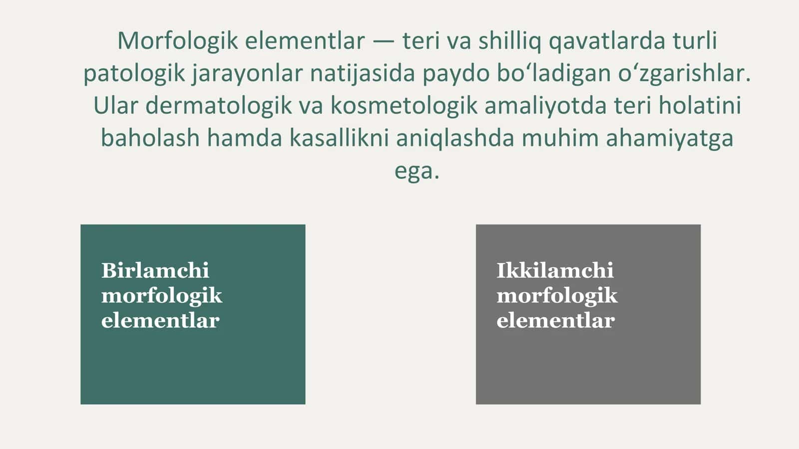 Birlamchi va ikkilamchi morfologik elementlar 2