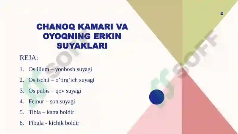 Oyoq suyaklari anatomiyasi 2