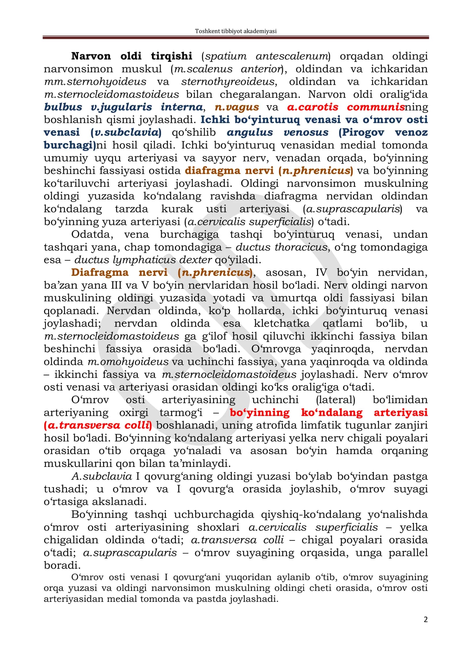 BO‘YINNING YON SOHASI (REGIO COLLI LATERALE) 2