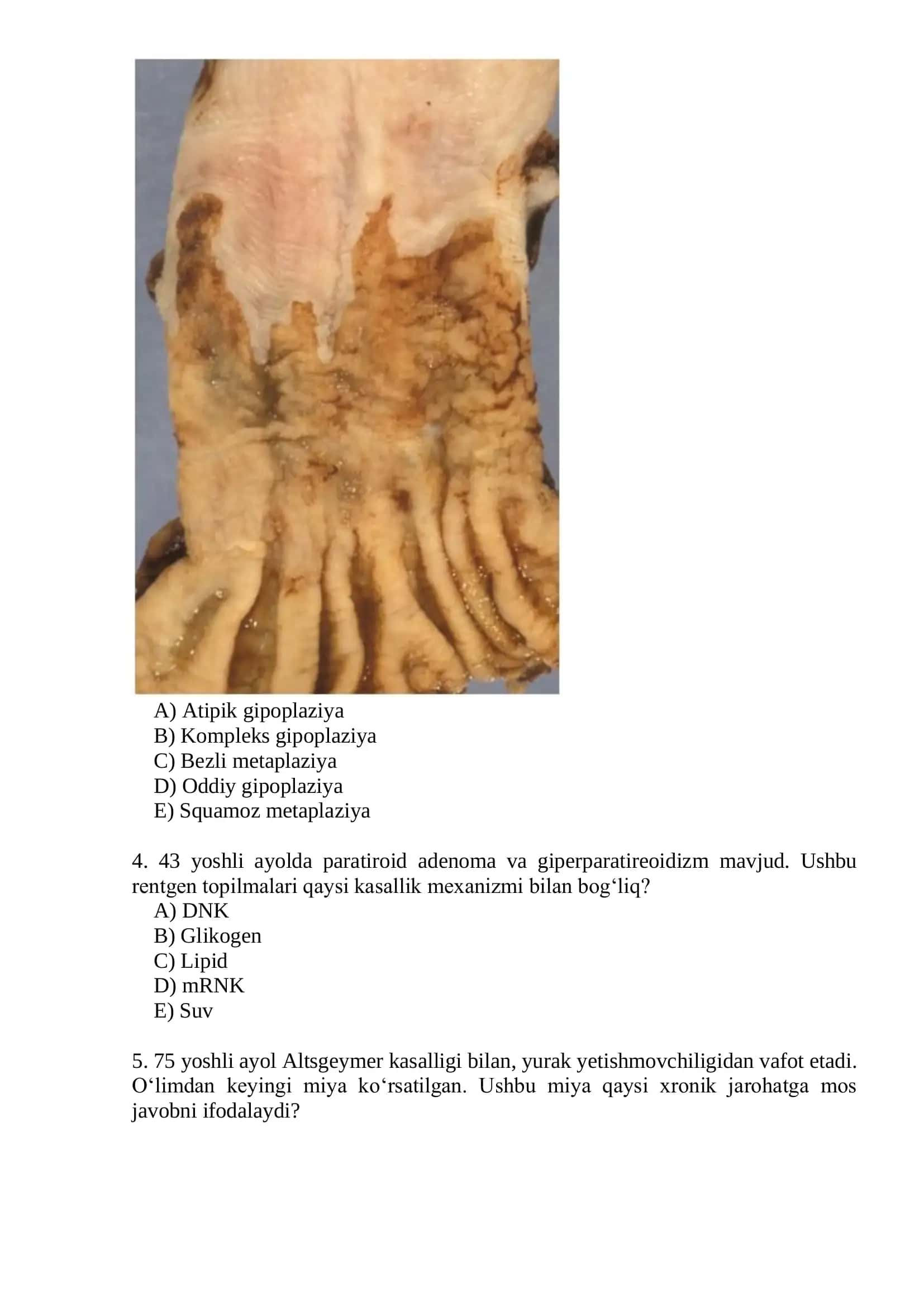 Rubins pathology Testlar 2