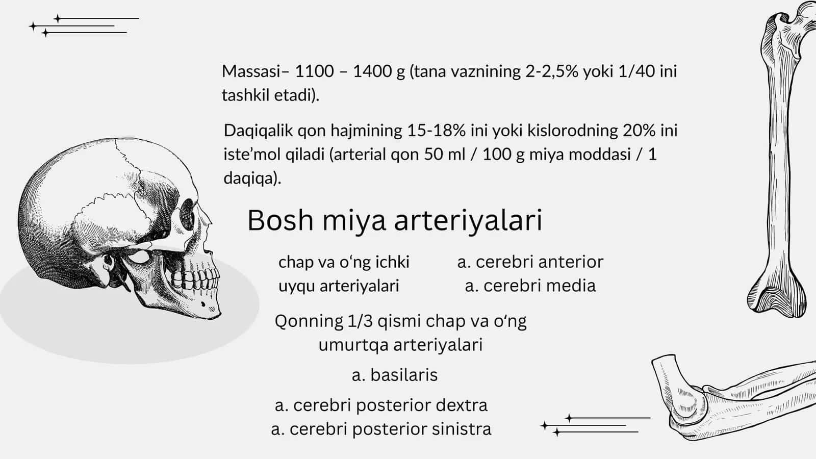 Bosh sohasi miya qismining klinik anatomiyasi 2