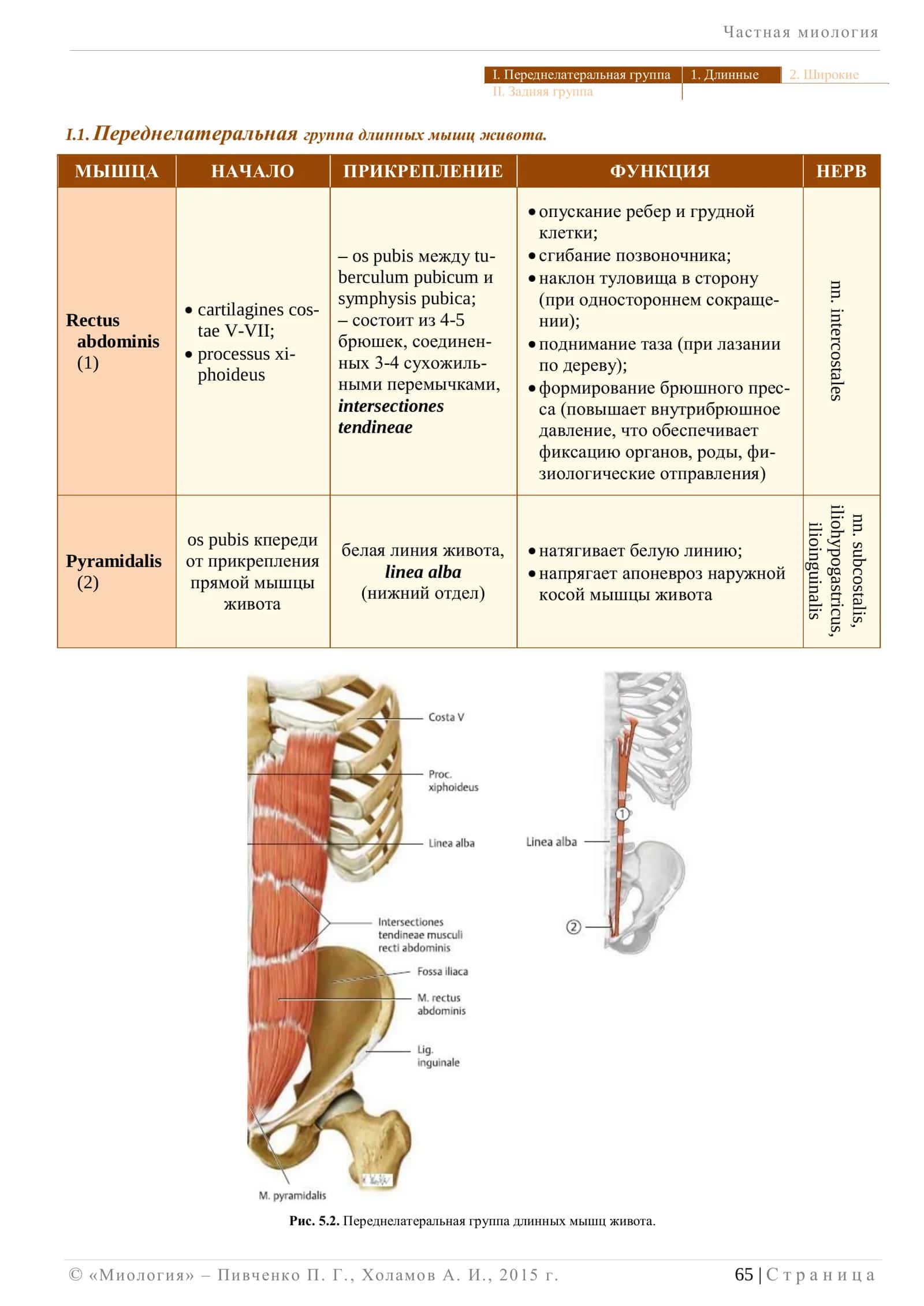 Частная миология 3