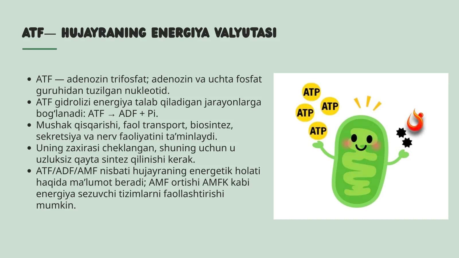 Gipoenergetik holatlar 3