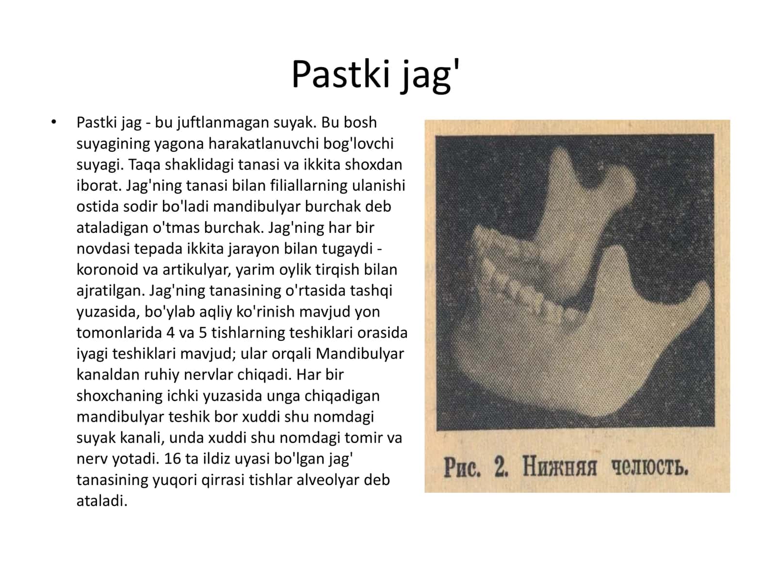 Yuqori jag 3
