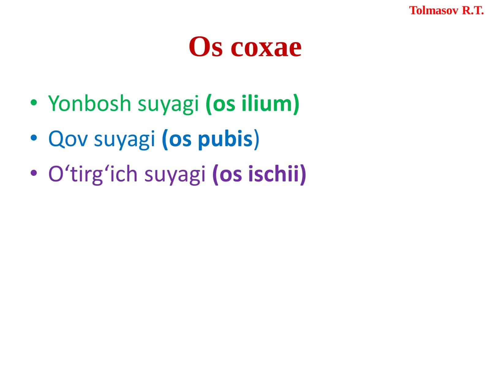 Os coxae 3