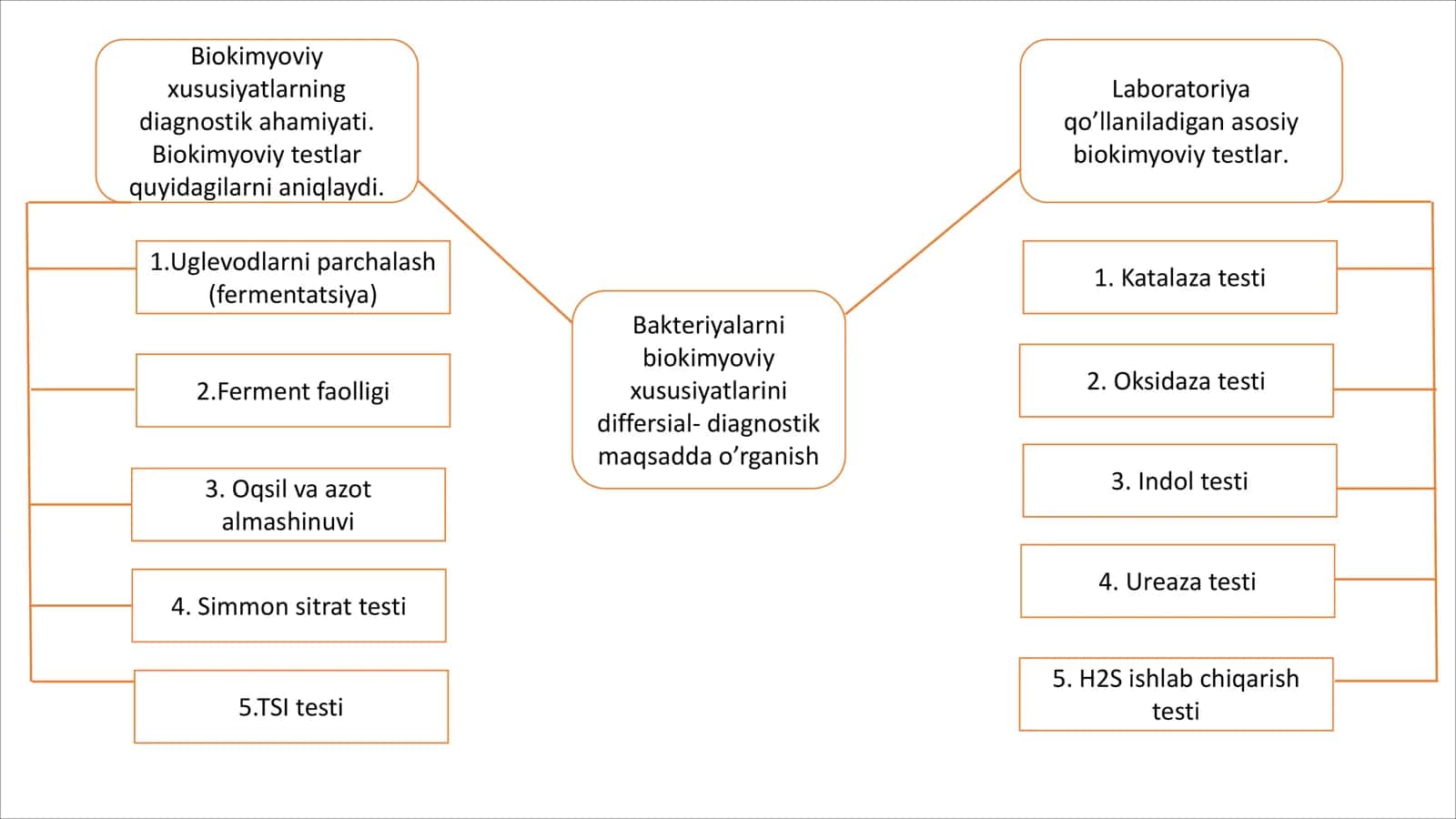 mikrobiologiya glossariy 3