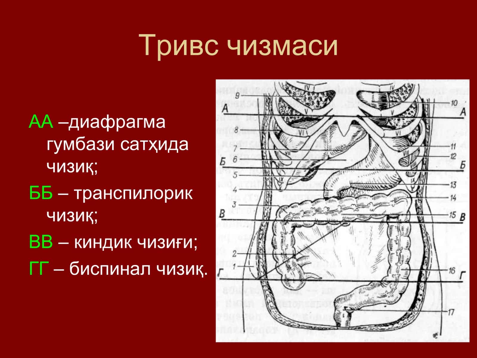 Қорин девори тиббиёти 3