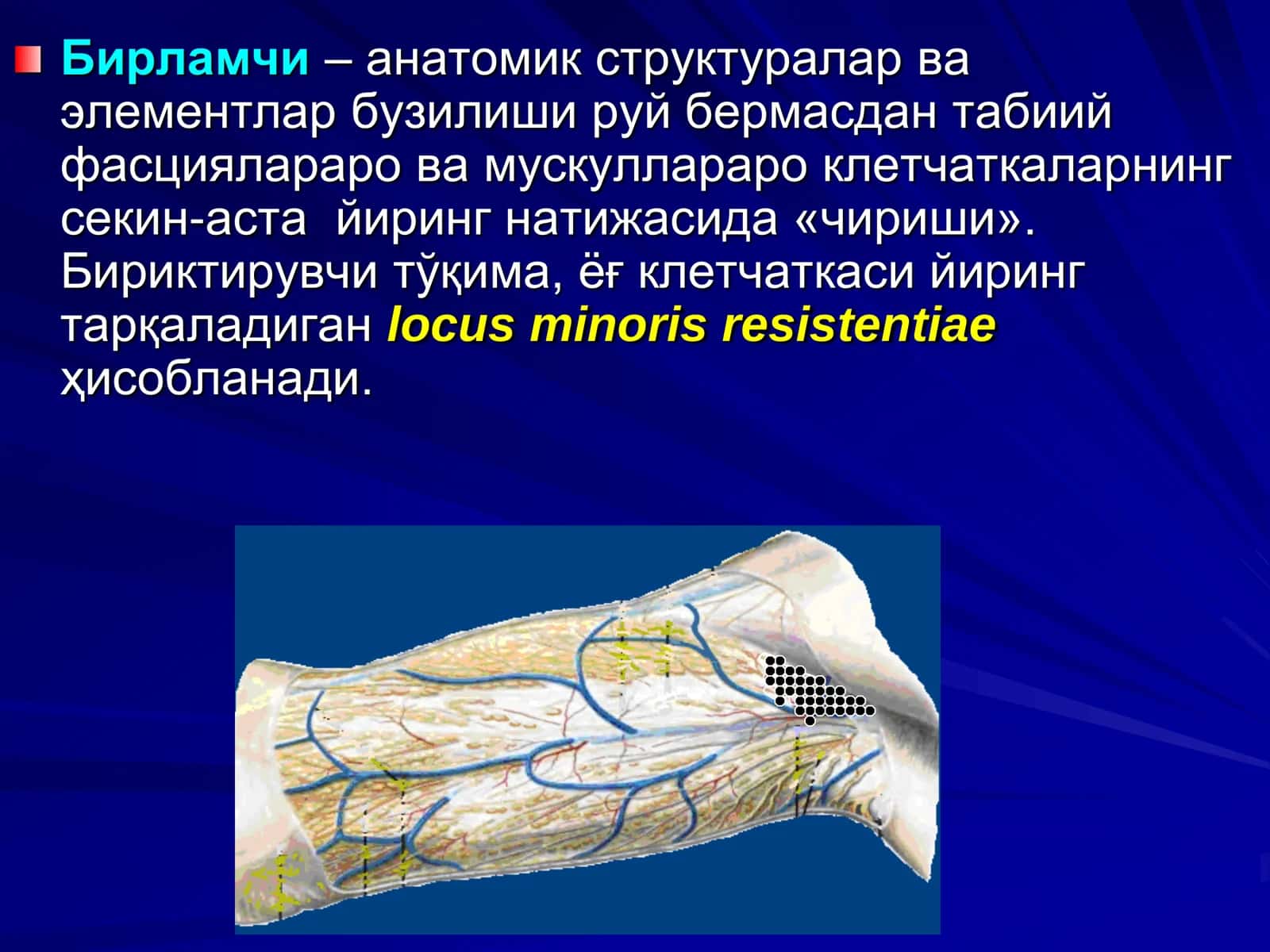 Йирингли жараёнлар 3