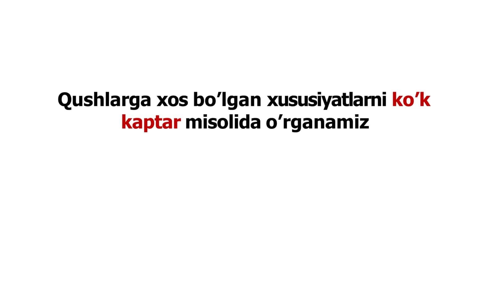 Qushlar sinfi 3