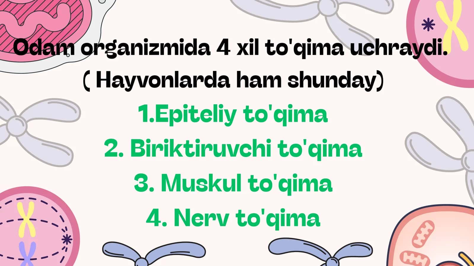 Anatomiya 4-dars 3