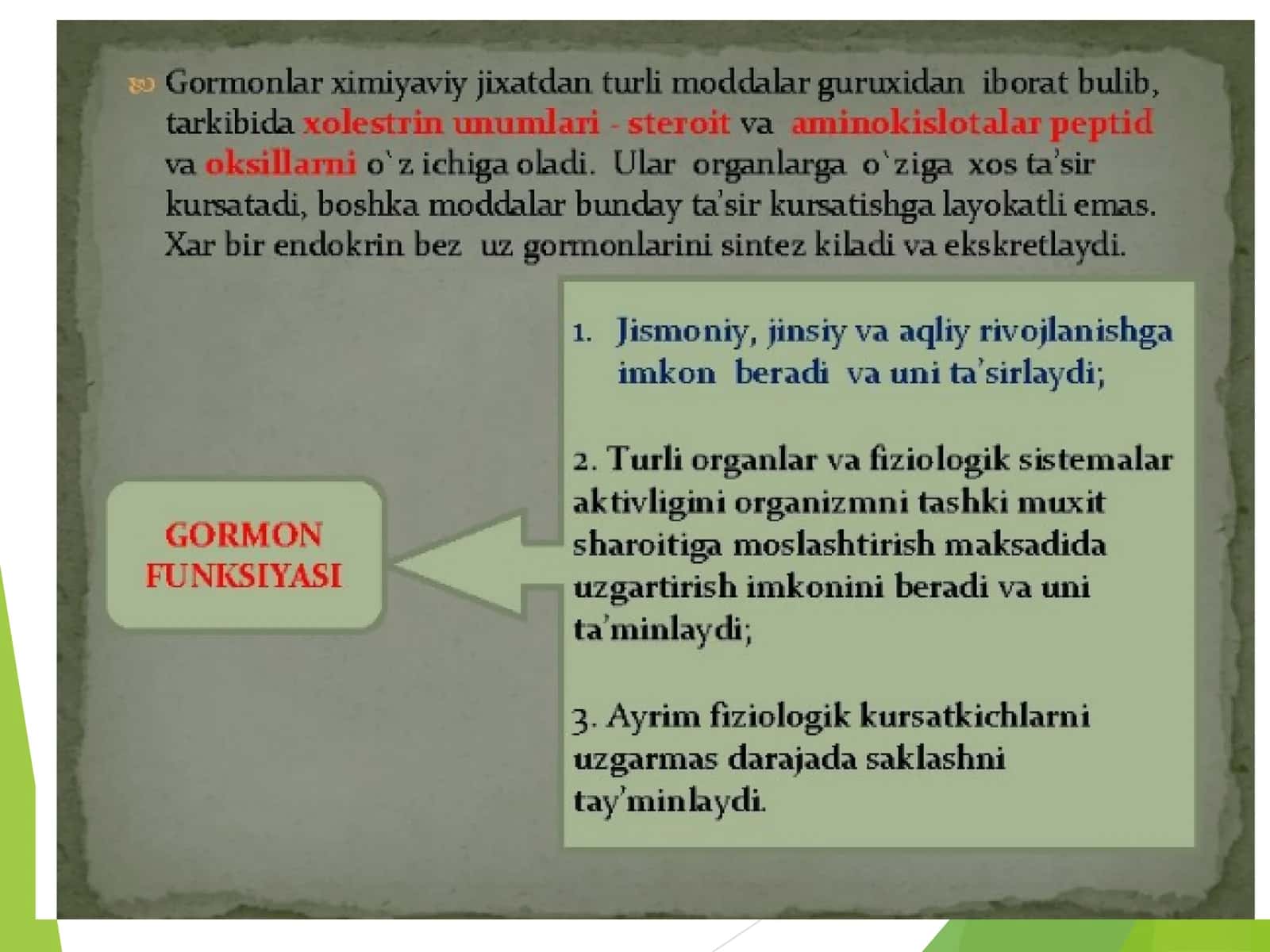 Timus tuzilishi 3