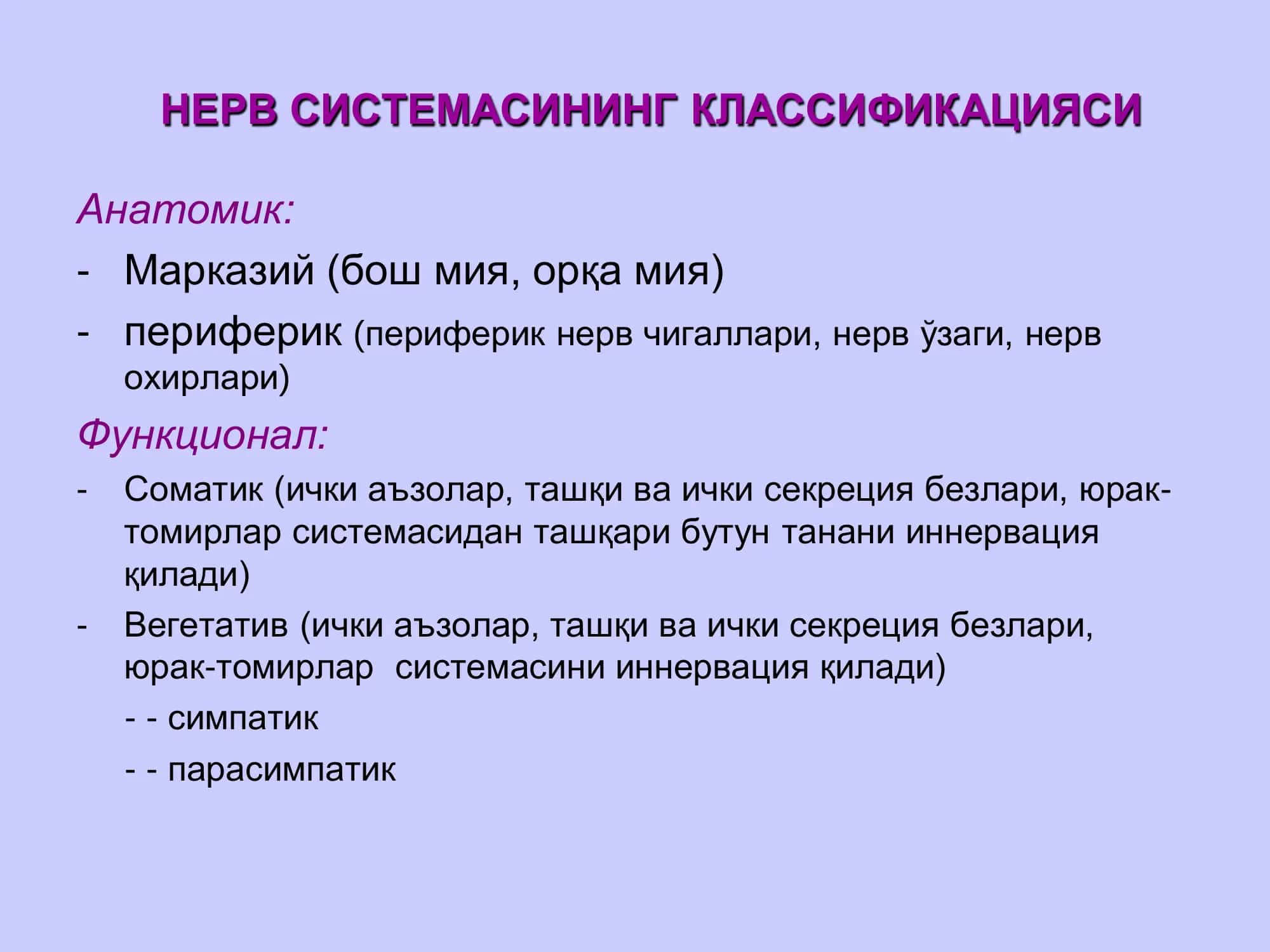 Нерв тизими 3