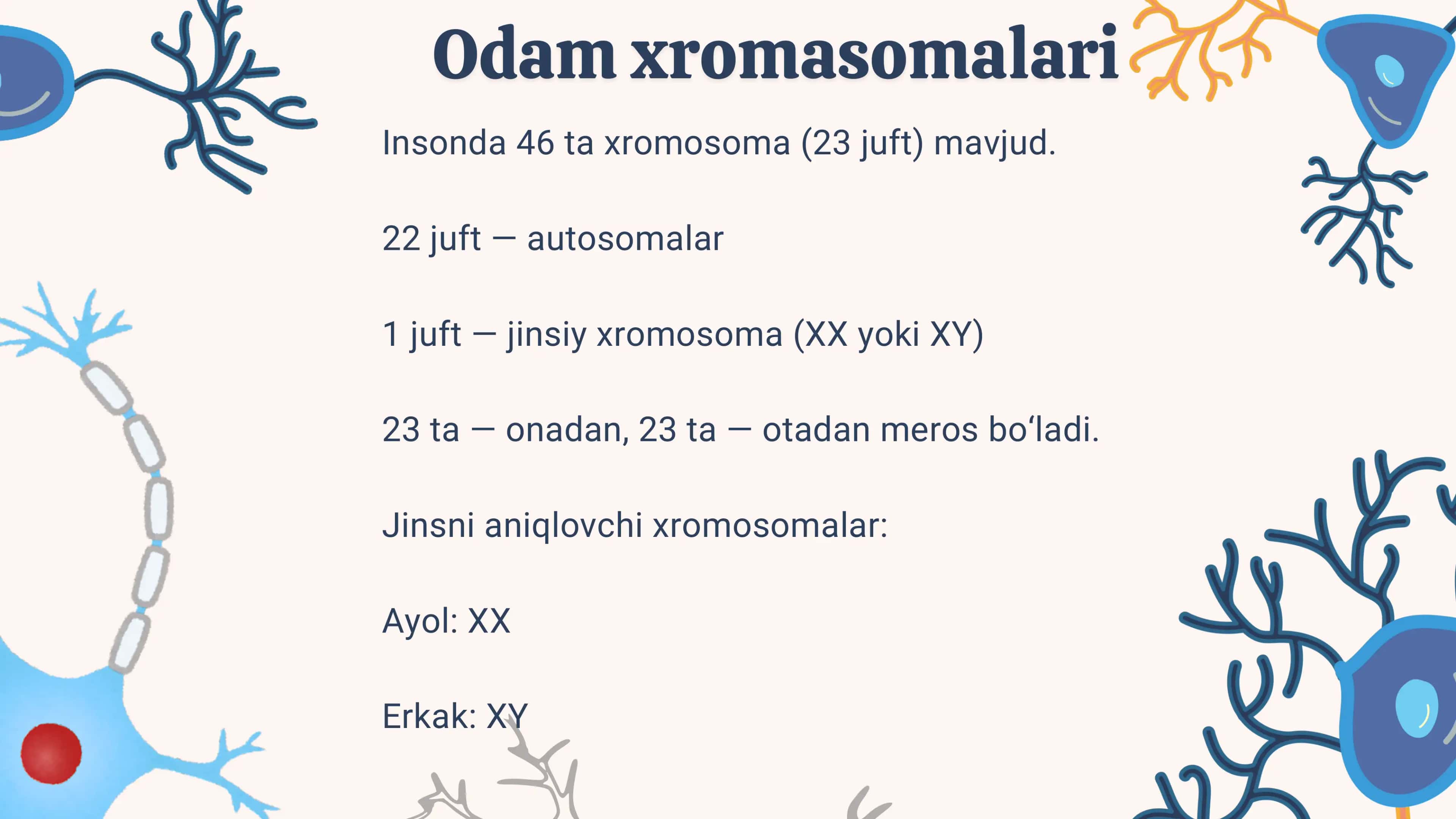 Xromosoma va Genom 3