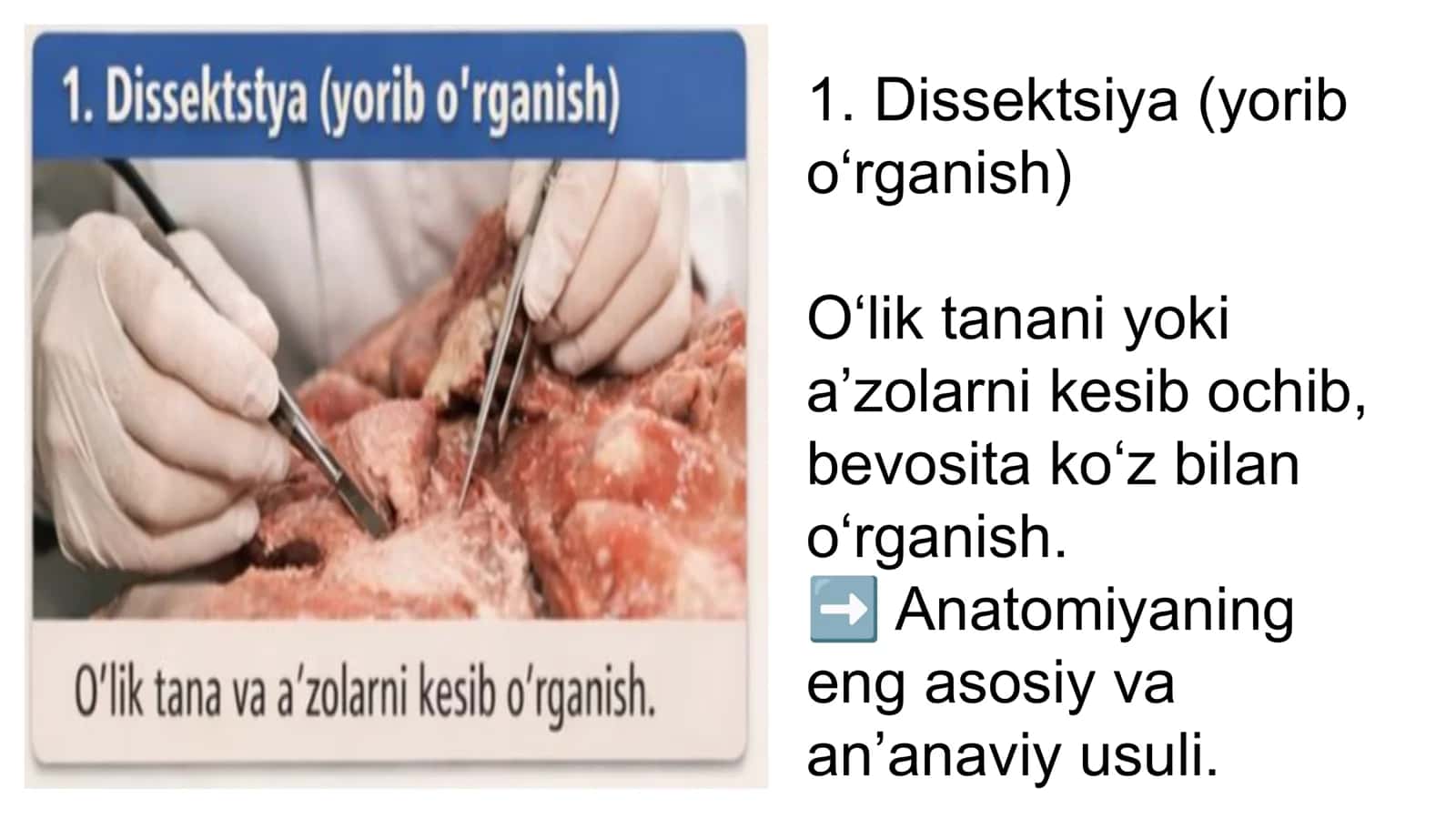 Anatomiyani õrganish usullari 3