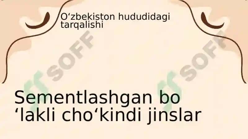 Sementlashgan bo‘lakli cho‘kindi tog‘ jinslarini O‘zbekiston hududida tarqalishi. 3