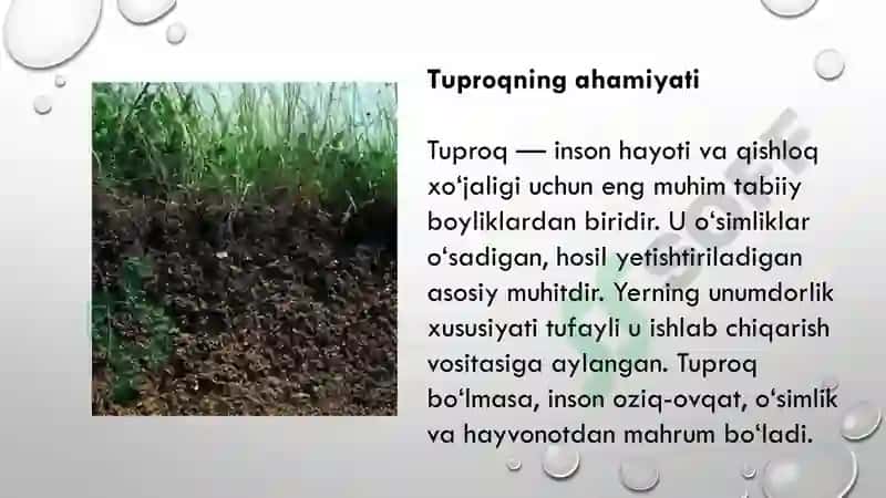 Tuproq va uning tabiiy xususiyatlari 3