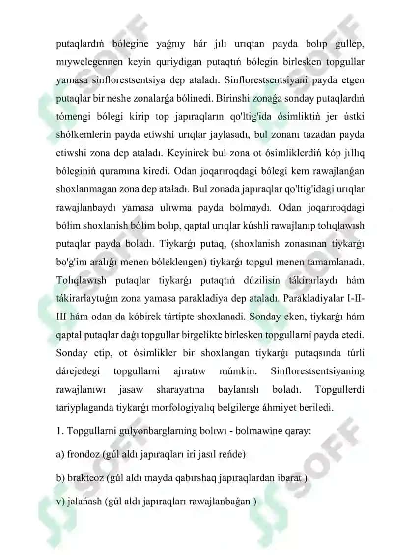 Apiwayi ham quramali topgul 3