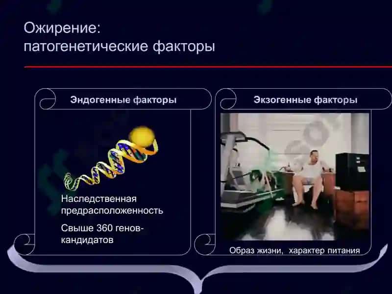 Ожирение-бич 21 века 7
