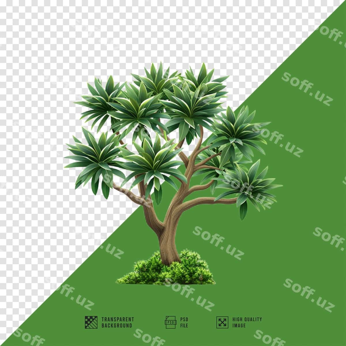 Rasm daraxt yashil fon bilan | Picture tree with green background 1