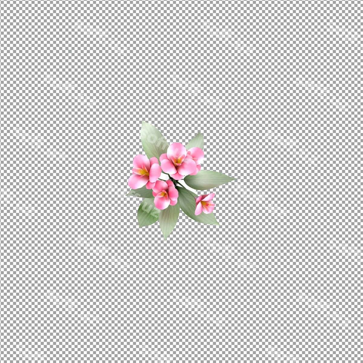 O'simlik ajraltirilgan 3d rendering | Plant isolated 3d rendering 1
