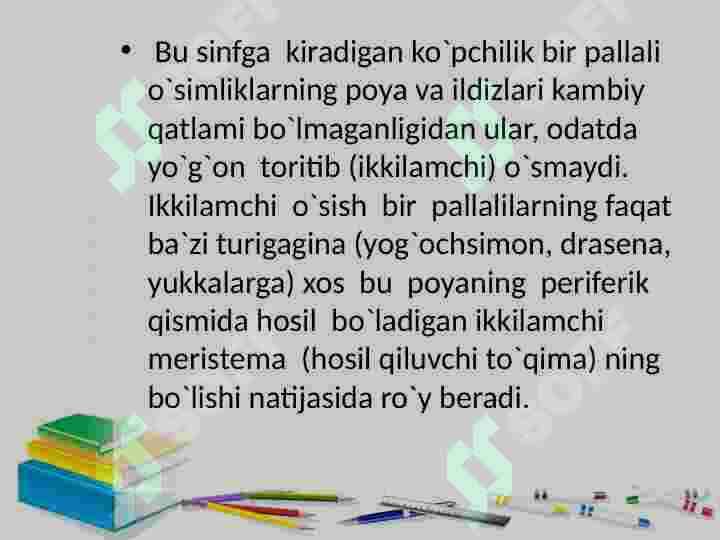 Bir urug’ pallalilar sinfi 5