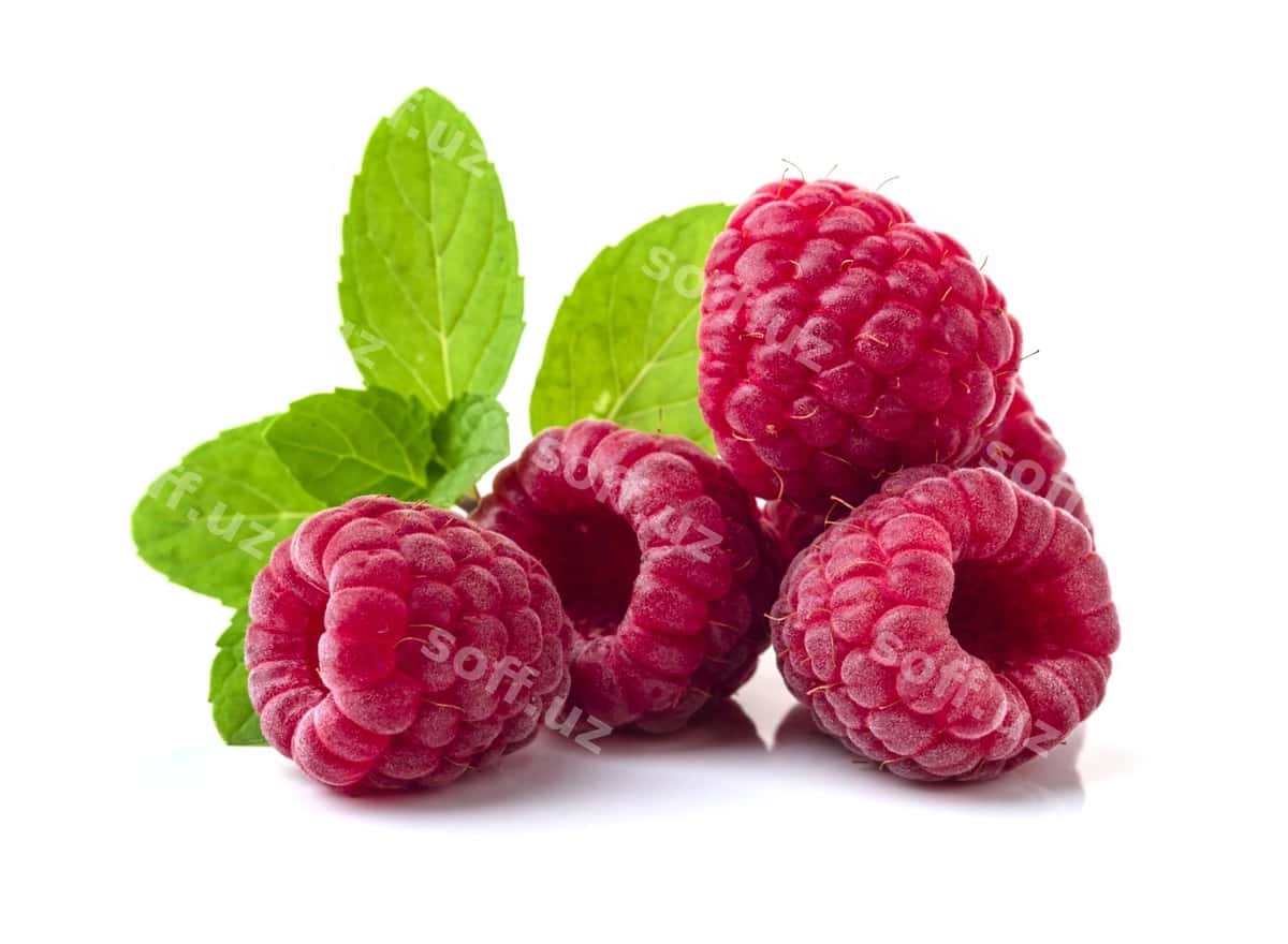 Mora ajralgan | Raspberry isolated 1