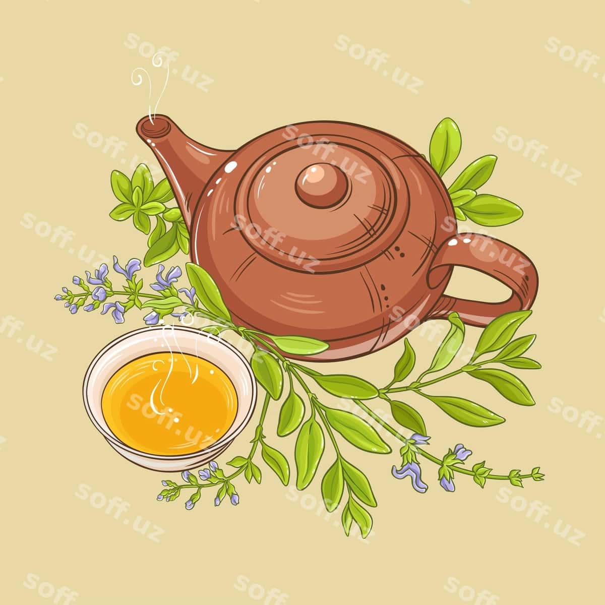 Kashnich choyi illustratsiyasi | Sage tea illustration 1