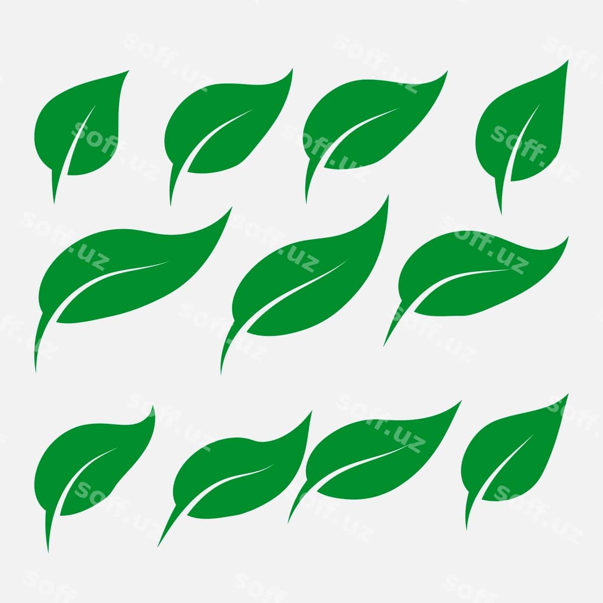 Yashil barg belgilarini o'rnating | Set green leaf icons 1