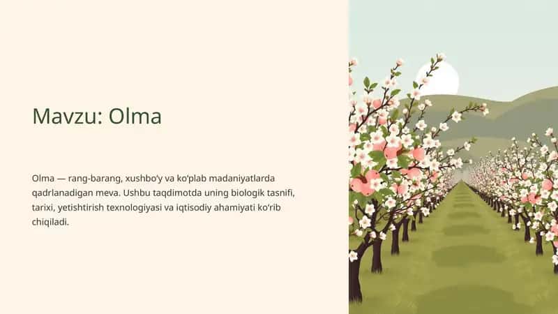Olma 1