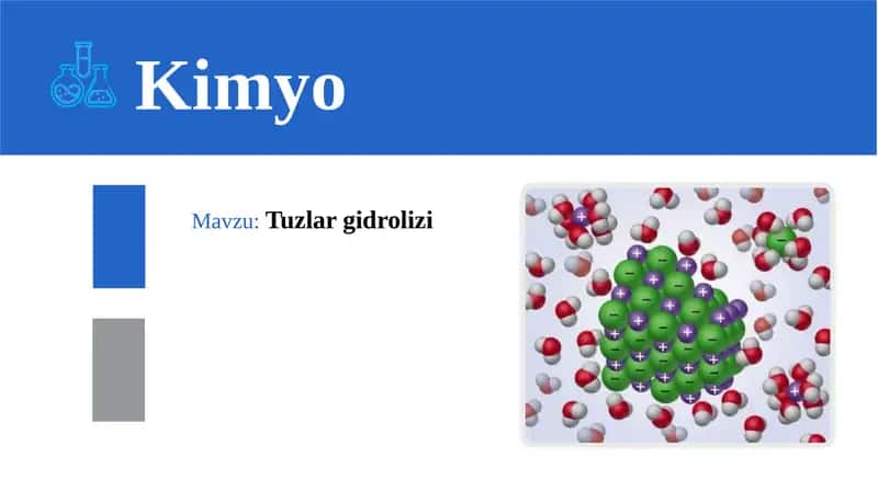 Tuzlargidrolizi 1