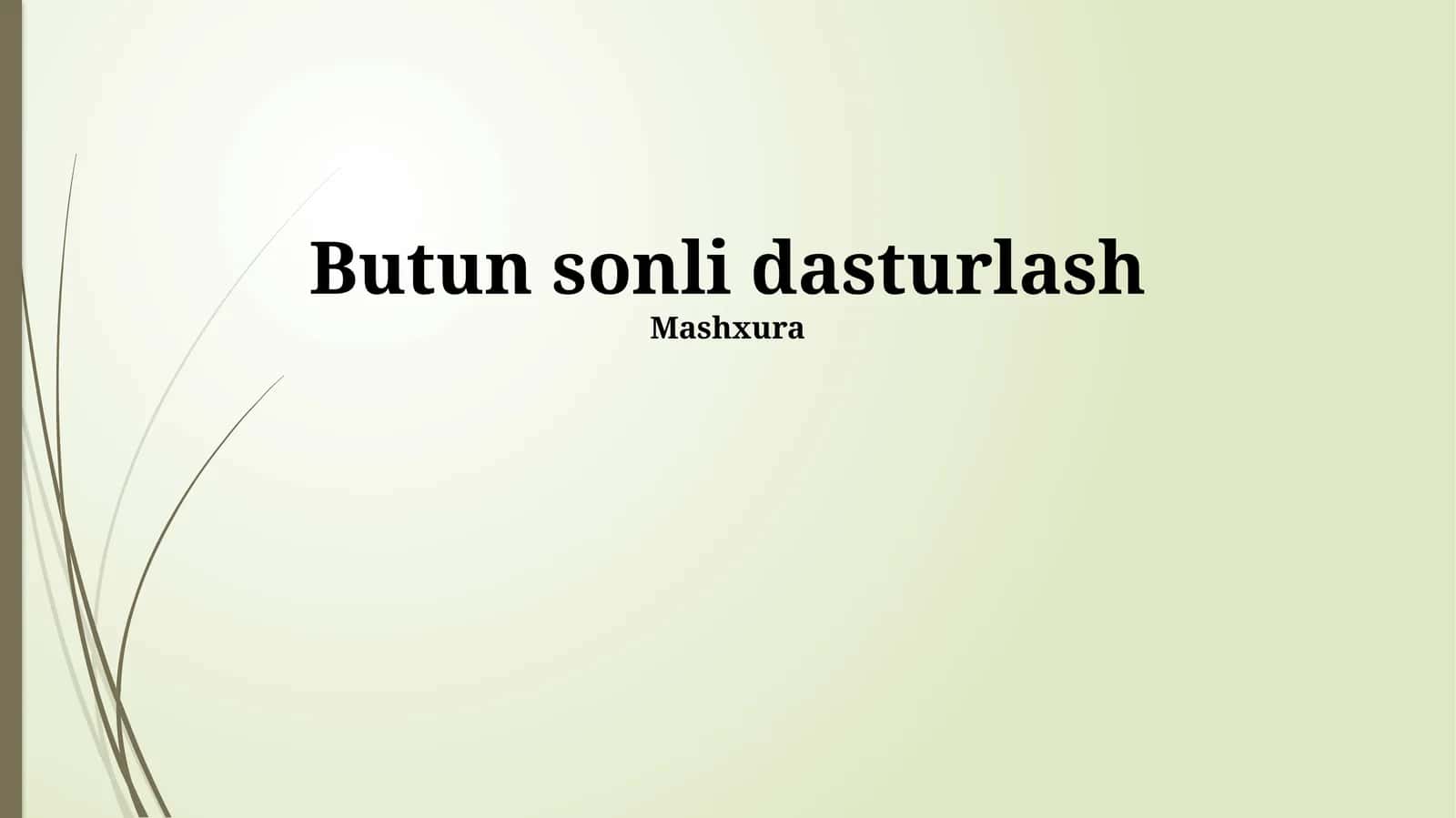 Butun Sonli Dasturlash Usullari 1