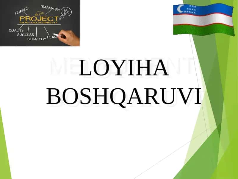 LOYIHA BOSHQARUVI 1