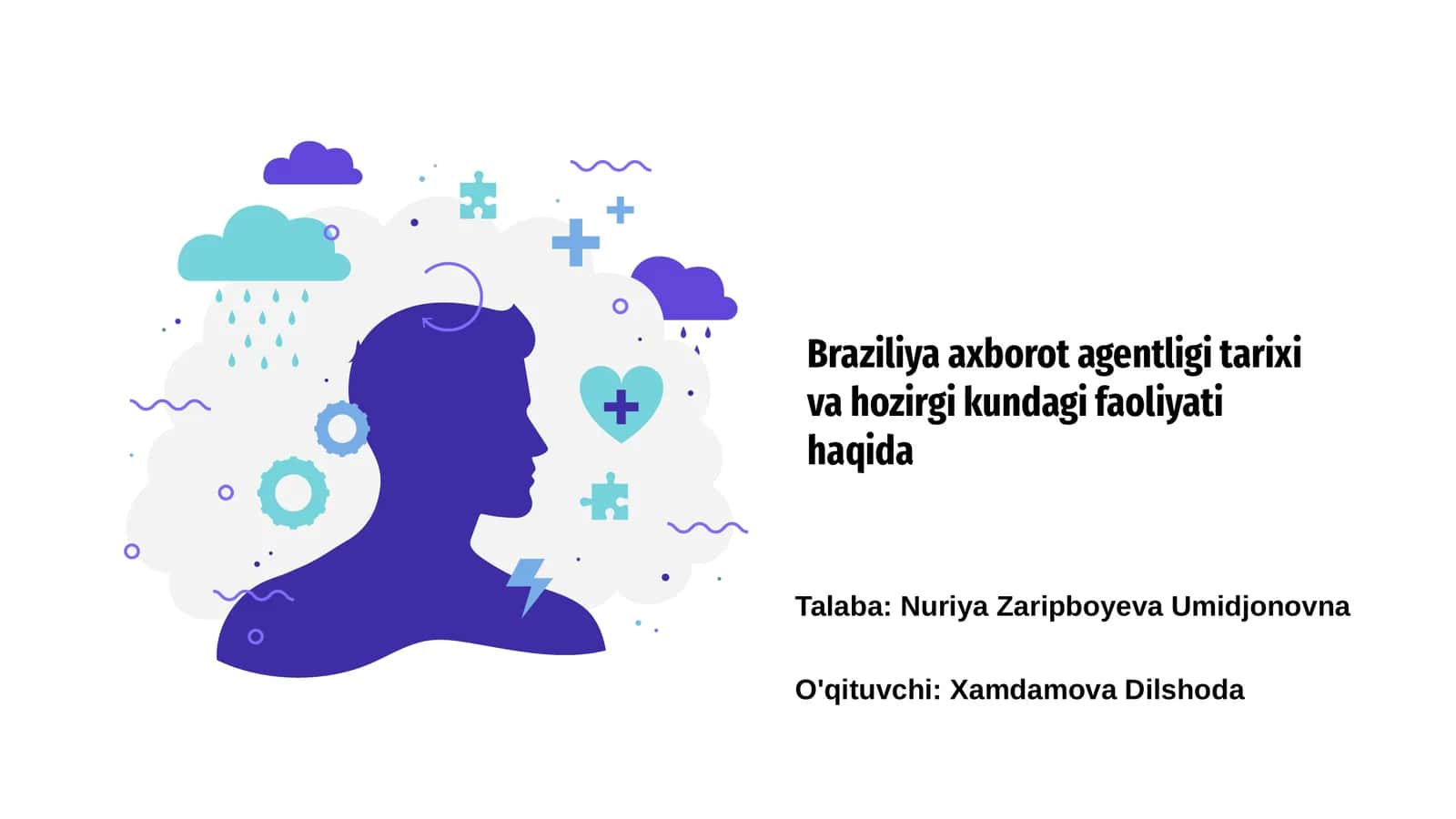 Braziliya Axborot Agentligining Tarixi 1
