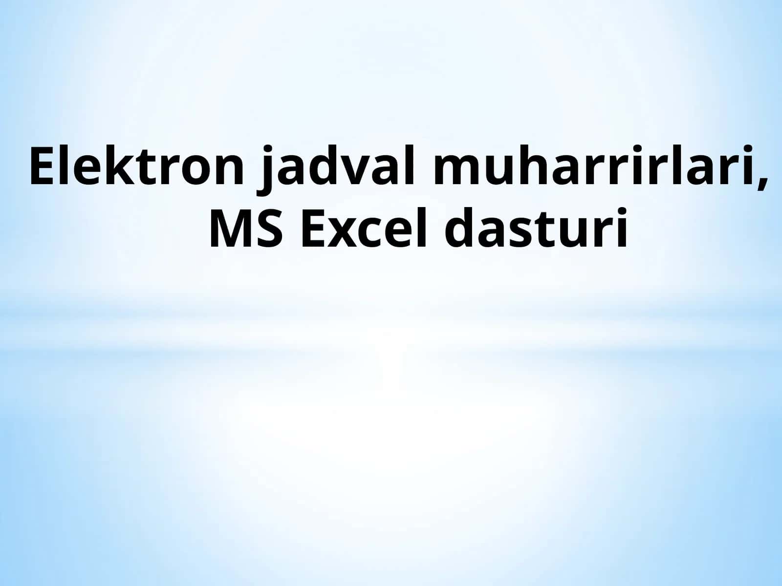 Elektron jadval muharrirlari, MS Excel dasturi 1