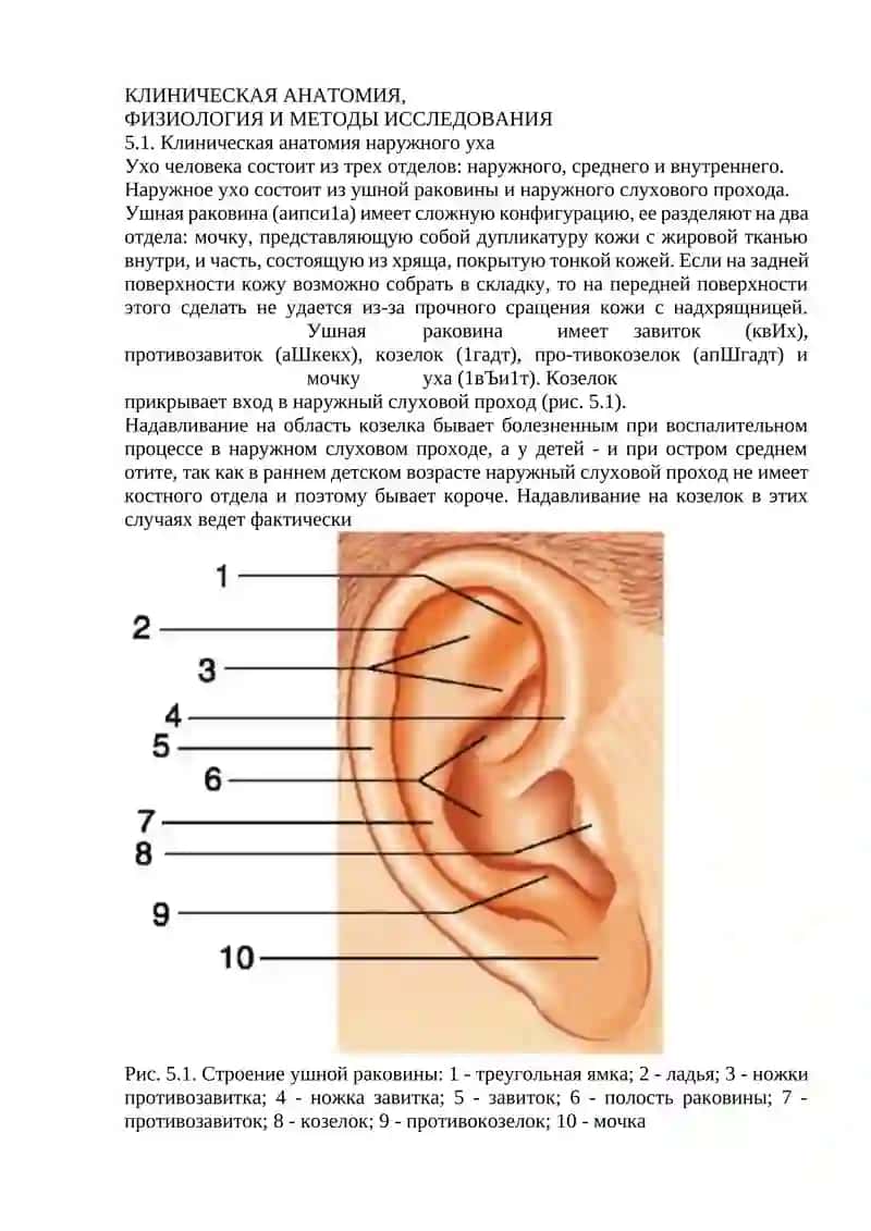 КЛИНИЧЕСКАЯ АНАТОМИЯ