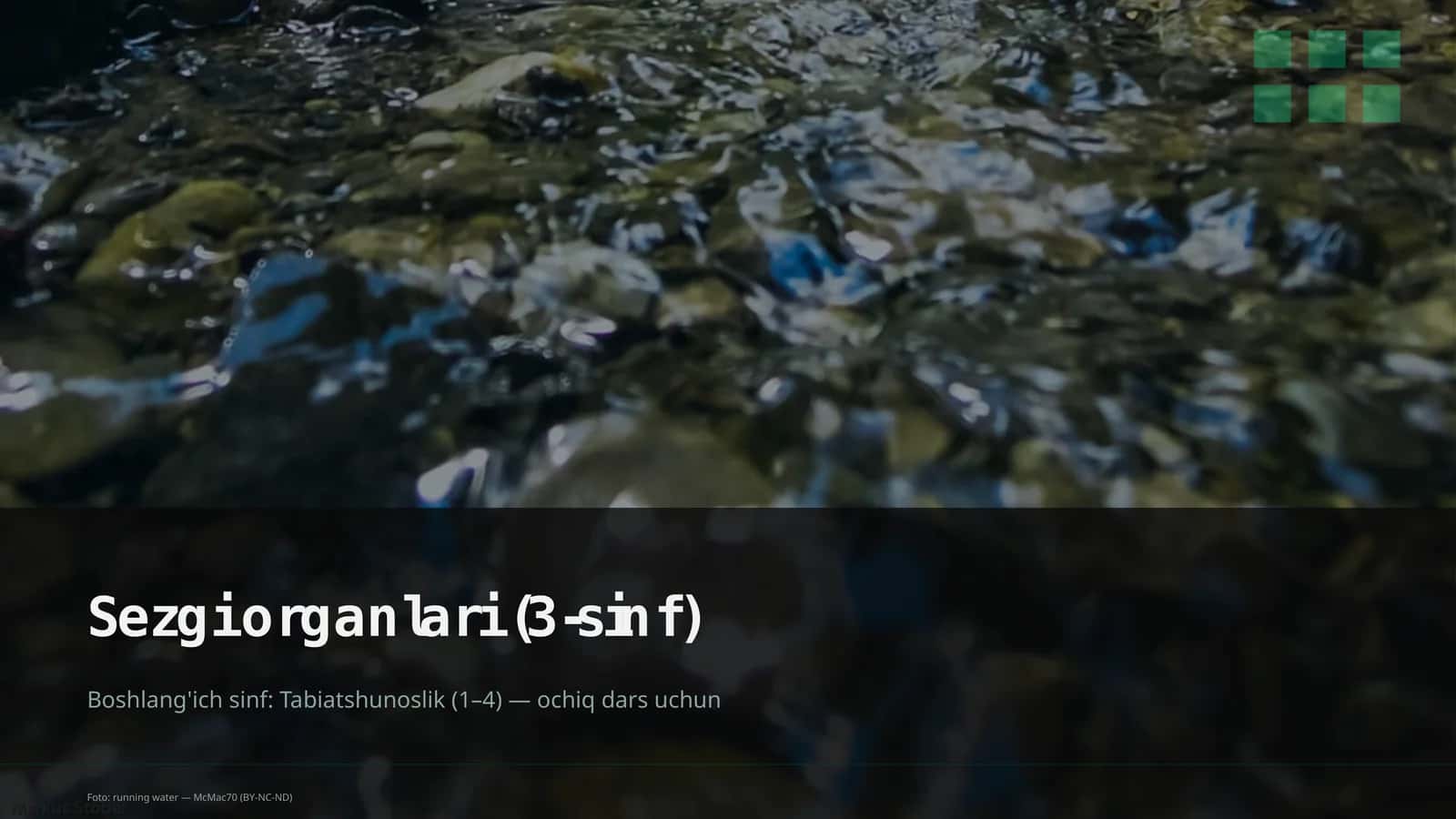 Sezgi organlari (3-sinf) 1