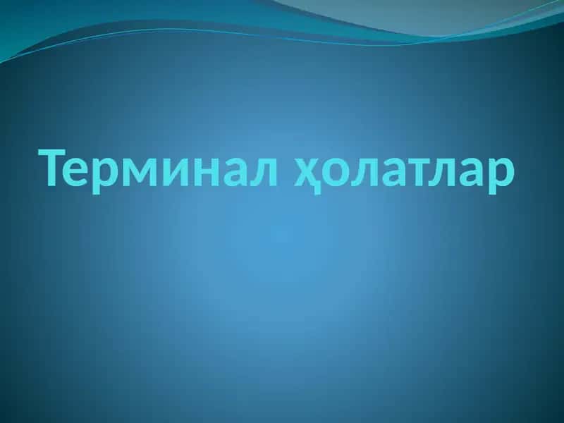 Терминал   ҳолатлар 1