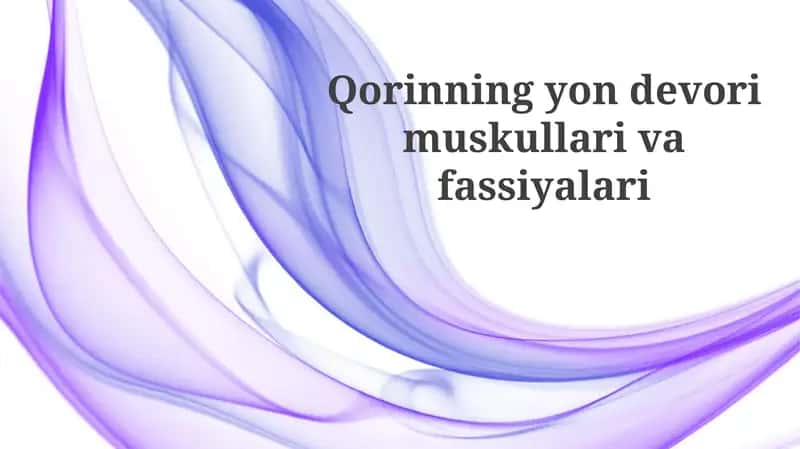 Yon Qorin Devori Mushaklari 1