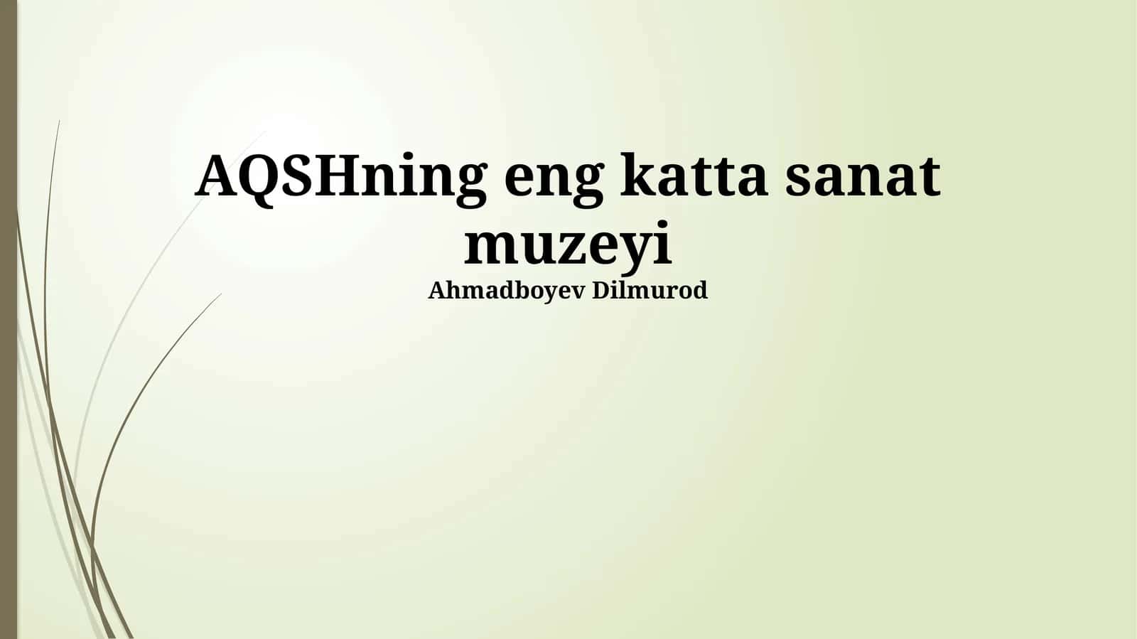 AQSHning eng katta sanat muzeyi 1
