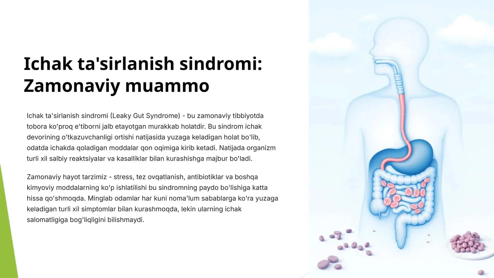 Ichak ta'sirlanish sindromi: Zamonaviy muammo 1